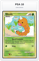 Graded - Weedle — PSA 10 graded overlay