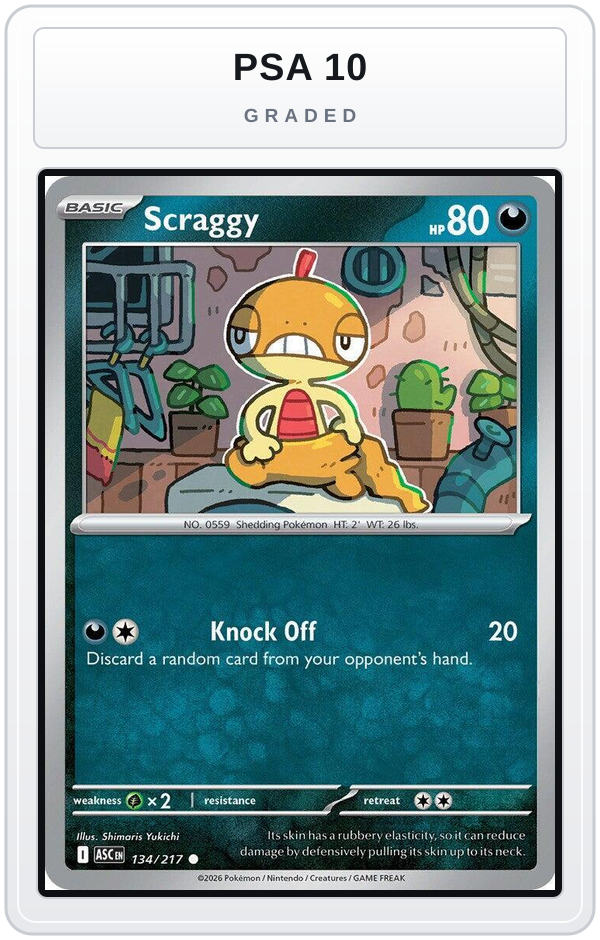 Graded - Scraggy — PSA 10 graded overlay