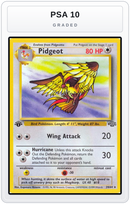 Graded - Pidgeot (24) — PSA 10 graded overlay
