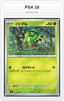 Graded - Spinarak — PSA 10 graded overlay