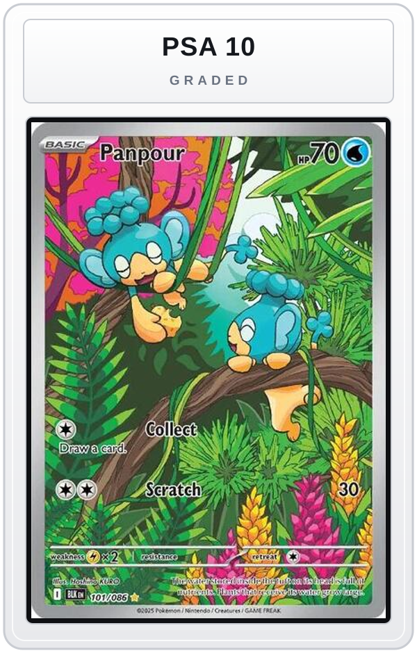 Graded - Panpour - 101/086 — PSA 10 graded overlay