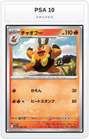 Graded - Pignite — PSA 10 graded overlay