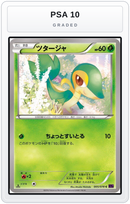 Graded - Snivy — PSA 10 graded overlay