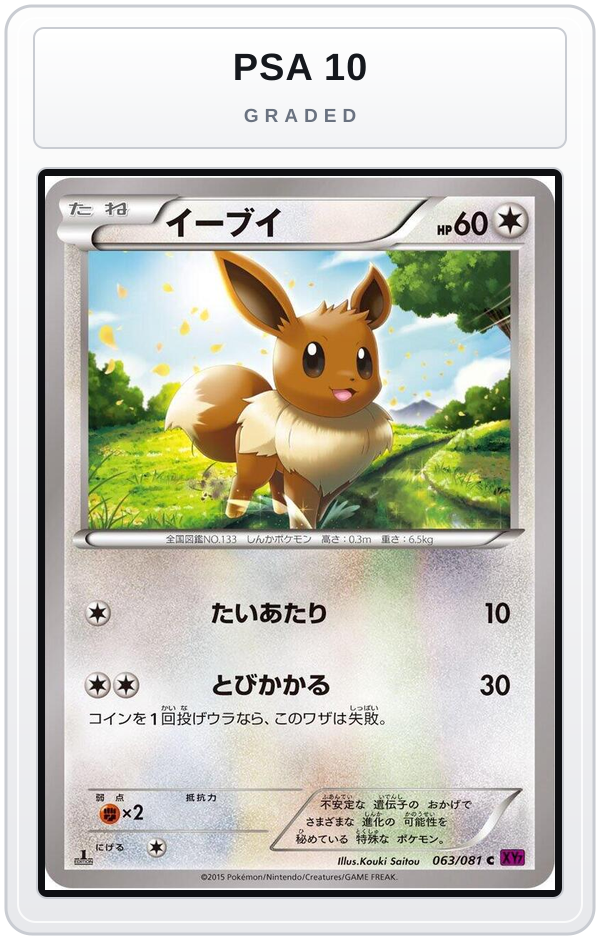 Graded - Eevee — PSA 10 graded overlay