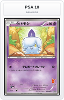 Graded - Litwick — PSA 10 graded overlay