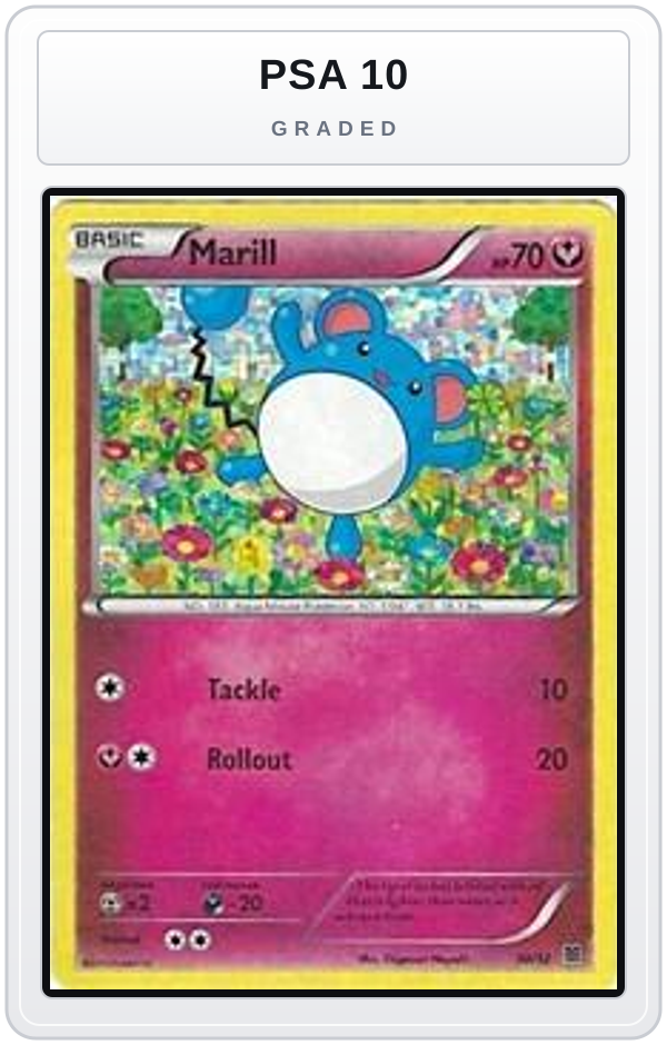 Graded - Marill - 10/12 — PSA 10 graded overlay