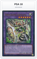 Graded - Dracotail Shaulas — PSA 10 graded overlay