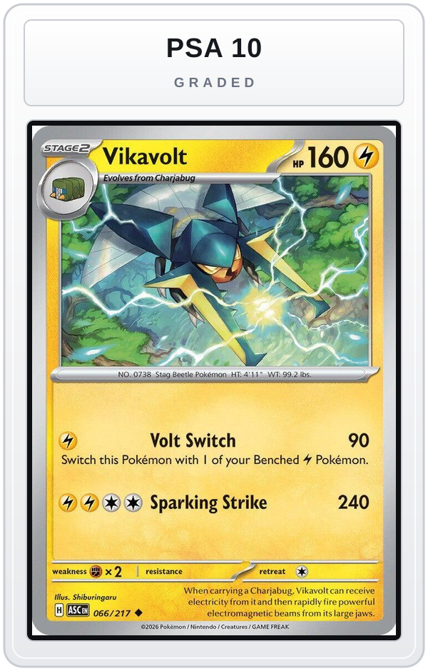 Graded - Vikavolt - 066/217 — PSA 10 graded overlay