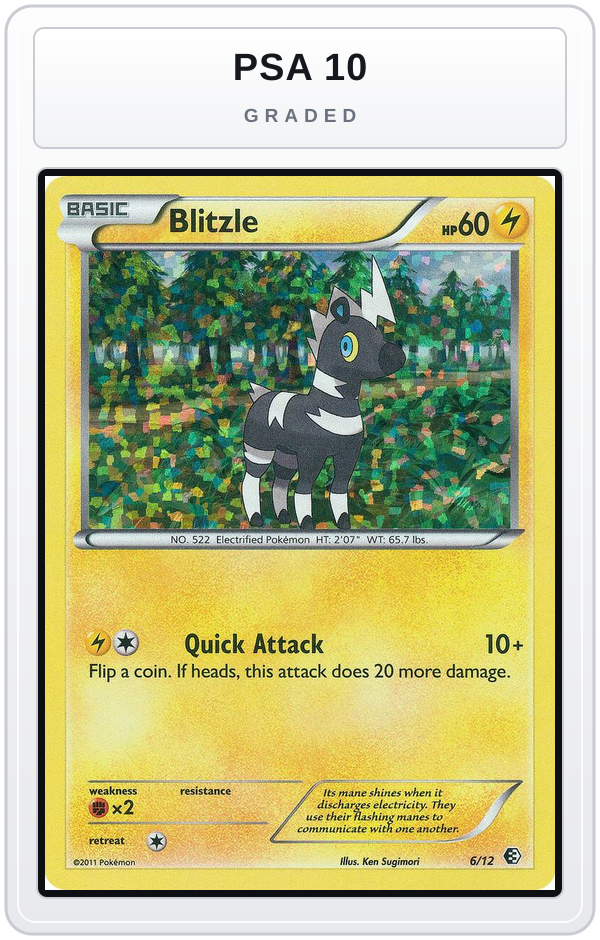 Graded - Blitzle - 6/12 — PSA 10 graded overlay