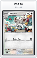 Graded - Cinccino — PSA 10 graded overlay