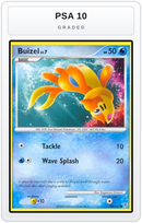 Graded - Buizel — PSA 10 graded overlay