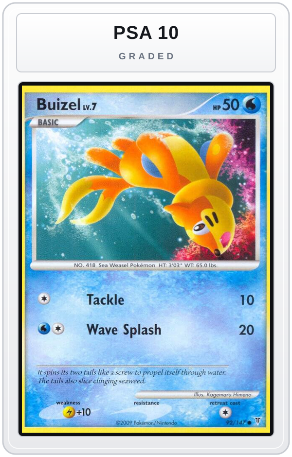 Graded - Buizel — PSA 10 graded overlay