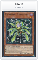 Graded - Predaplant Longinephila — PSA 10 graded overlay