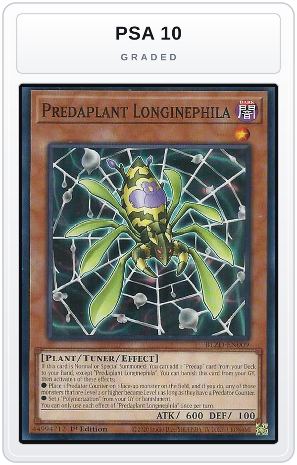 Graded - Predaplant Longinephila — PSA 10 graded overlay