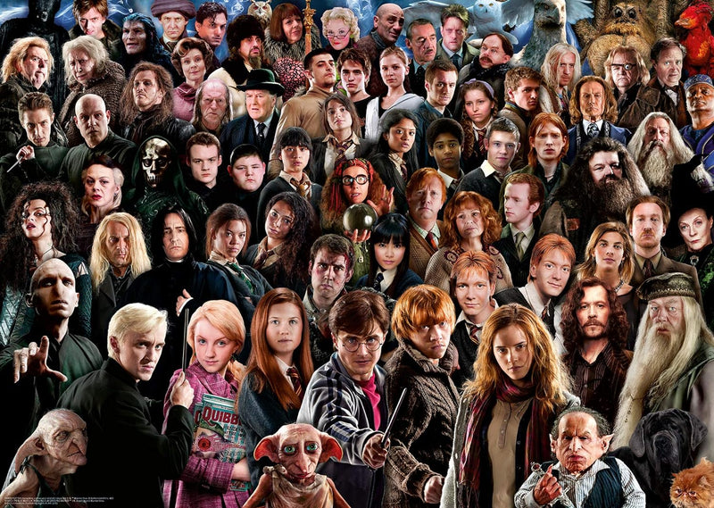 Ravensburger: Harry Potter Challenge 1000pc