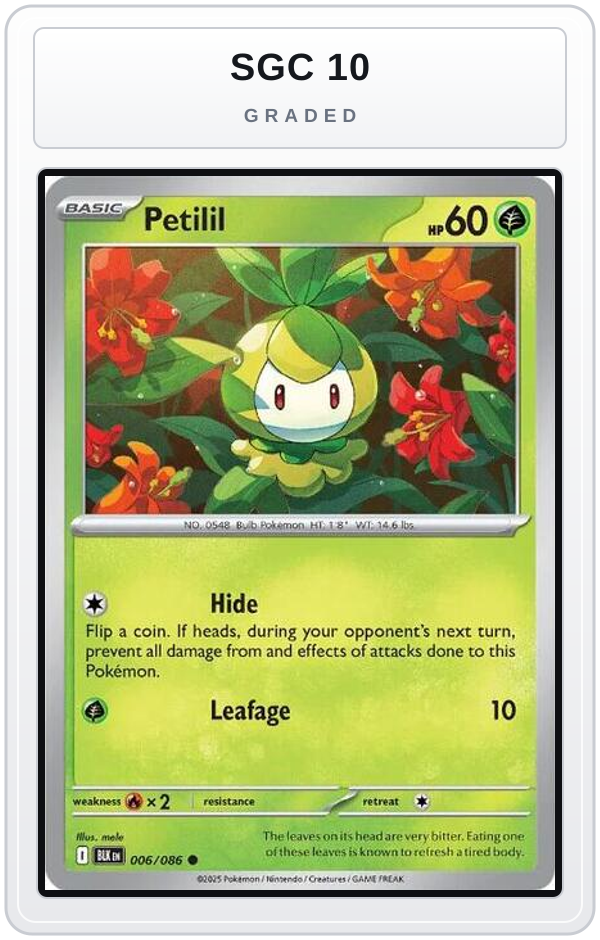 Graded - Petilil — SGC 10 graded overlay