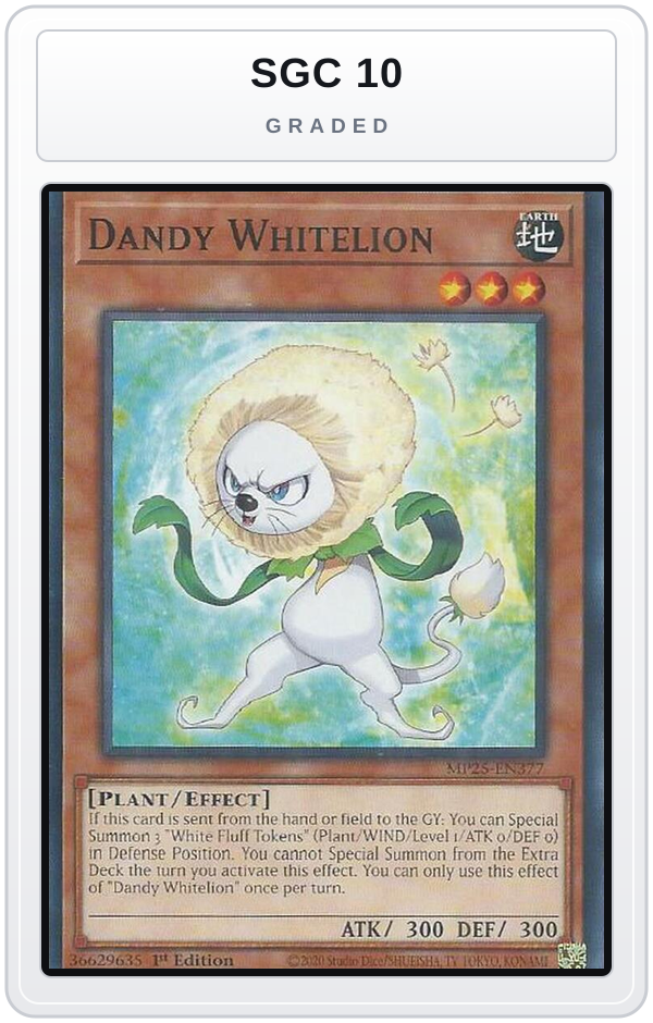 Graded - Dandy Whitelion — SGC 10 graded overlay
