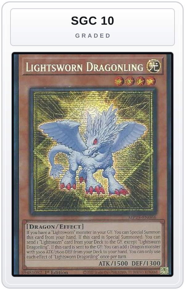 Graded - Lightsworn Dragonling — SGC 10 graded overlay