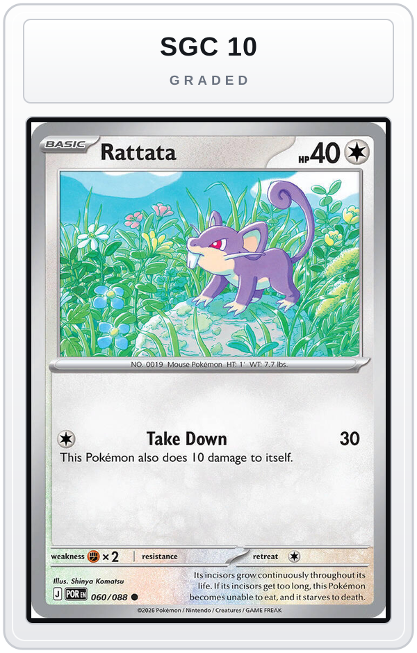 Graded - Rattata — SGC 10 graded overlay