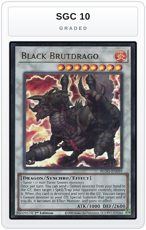 Graded - Black Brutdrago — SGC 10 graded overlay