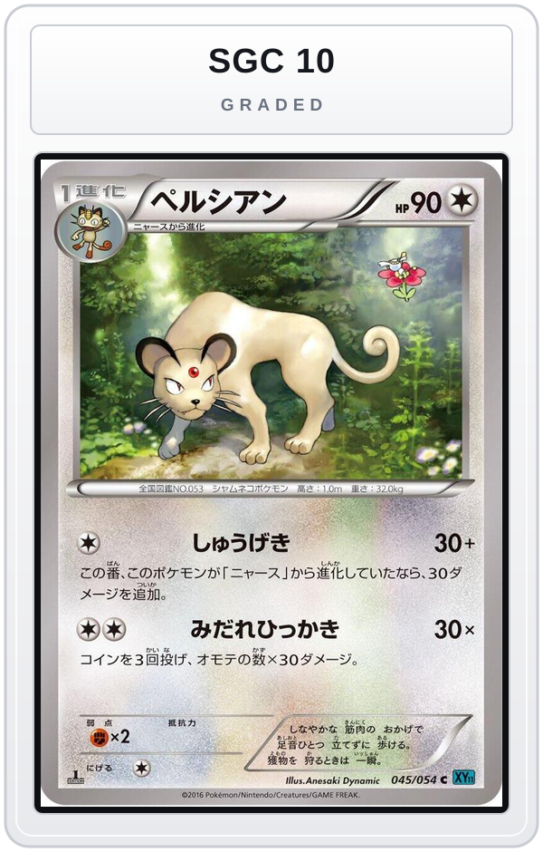 Graded - Persian — SGC 10 graded overlay