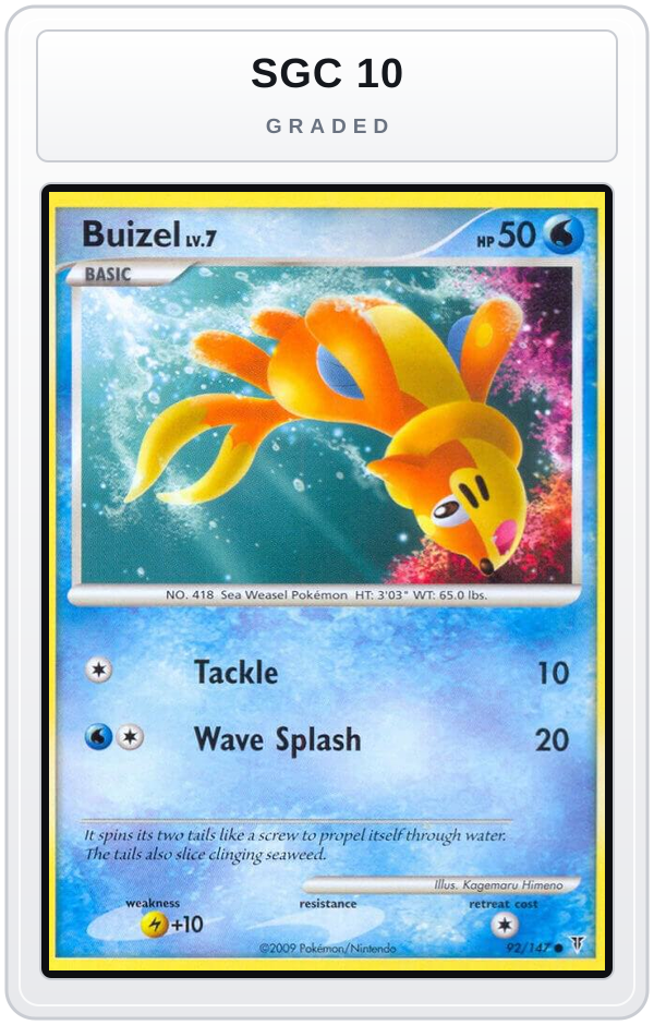 Graded - Buizel — SGC 10 graded overlay