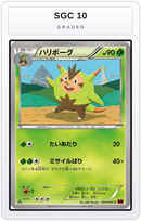 Graded - Quilladin — SGC 10 graded overlay