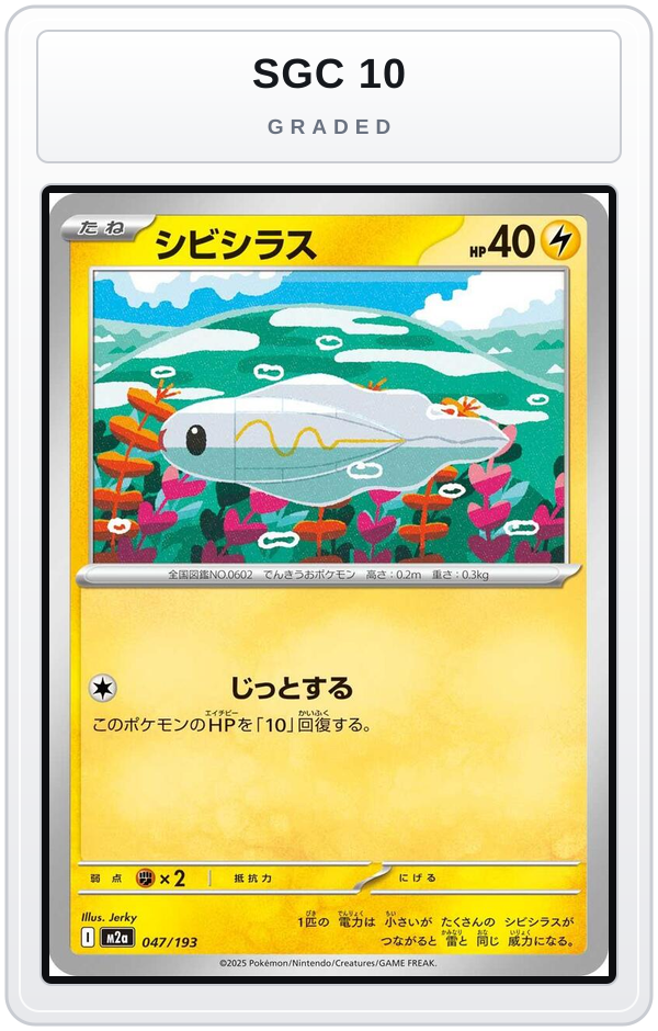 Graded - Tynamo — SGC 10 graded overlay