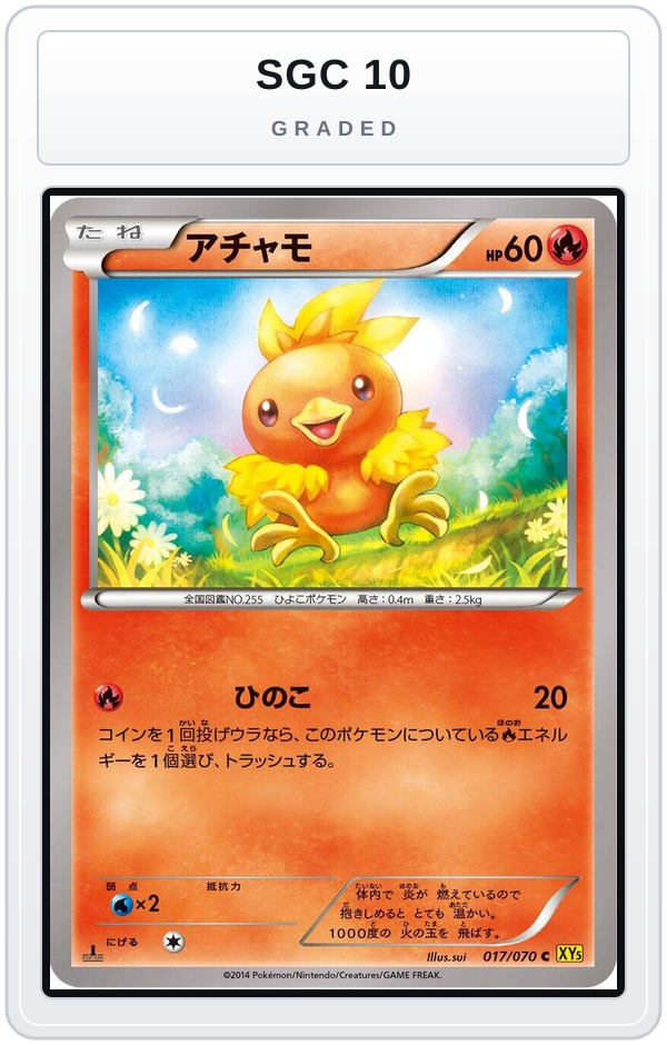Graded - Torchic - 017/070 — SGC 10 graded overlay