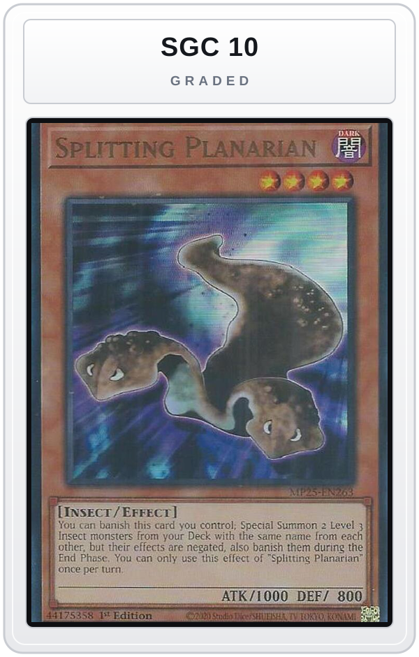 Graded - Splitting Planarian — SGC 10 graded overlay