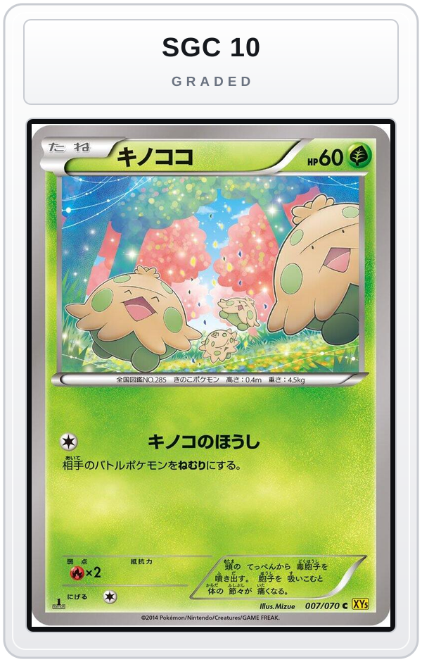 Graded - Shroomish — SGC 10 graded overlay