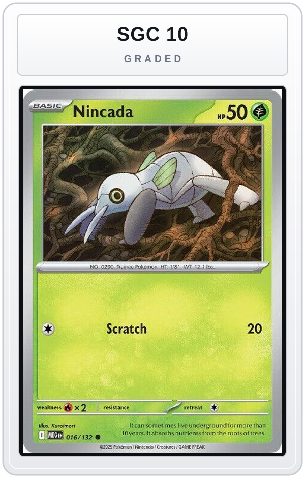 Graded - Nincada — SGC 10 graded overlay