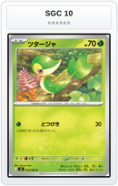 Graded - Snivy — SGC 10 graded overlay