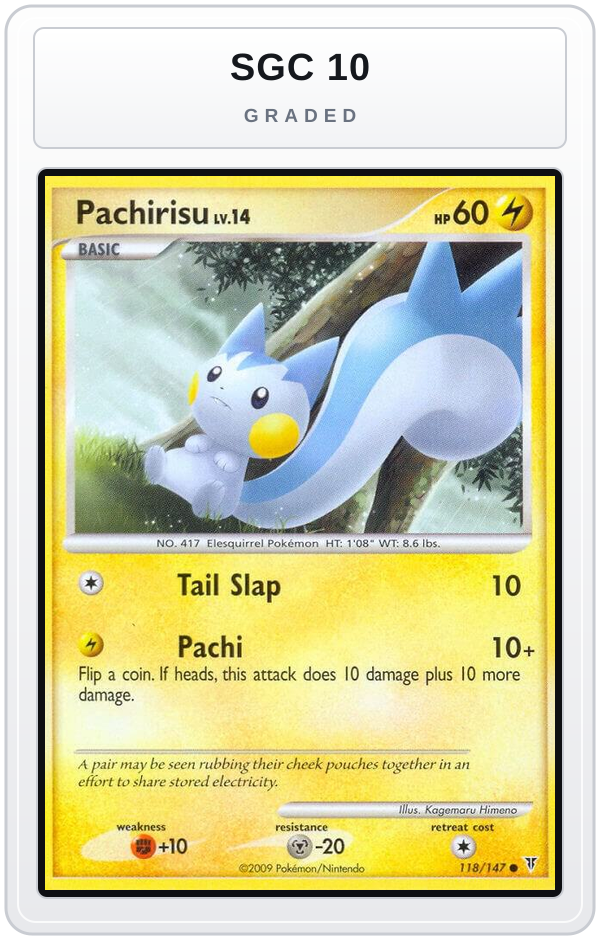 Graded - Pachirisu — SGC 10 graded overlay