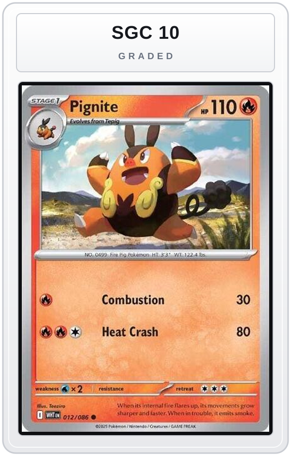 Graded - Pignite — SGC 10 graded overlay