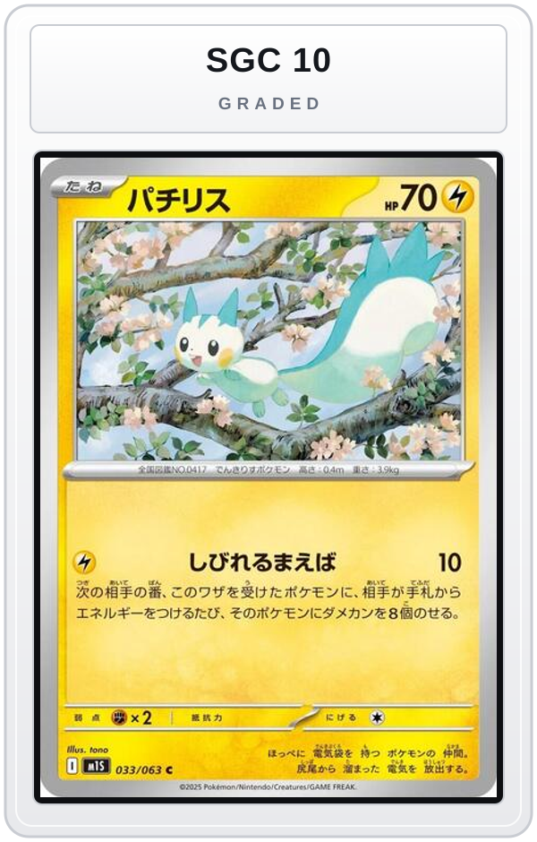 Graded - Pachirisu — SGC 10 graded overlay