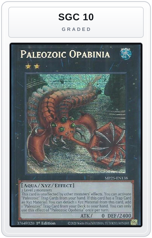 Graded - Paleozoic Opabinia — SGC 10 graded overlay