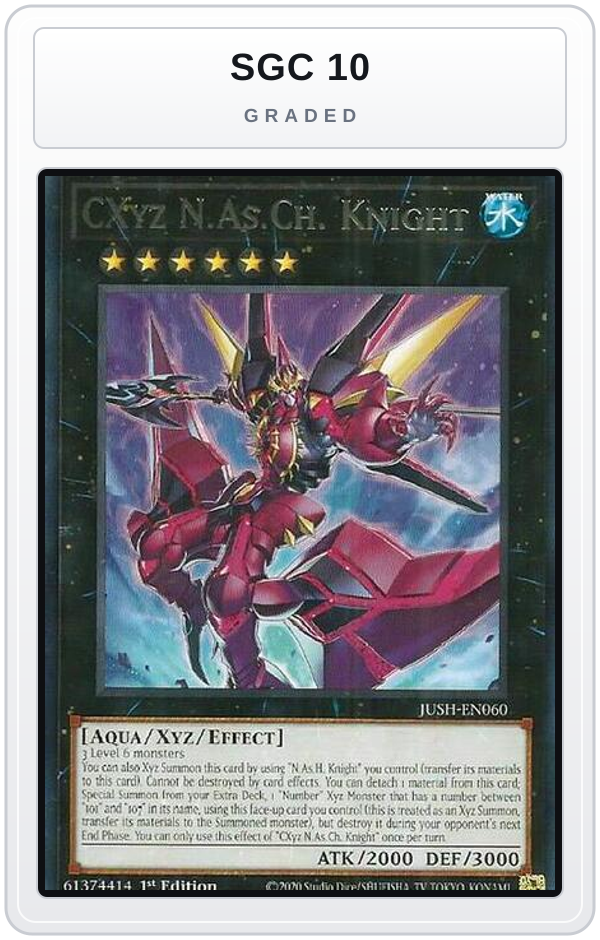 Graded - CXyz N.As.Ch. Knight — SGC 10 graded overlay