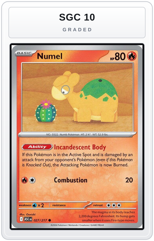 Graded - Numel - 027/217 — SGC 10 graded overlay