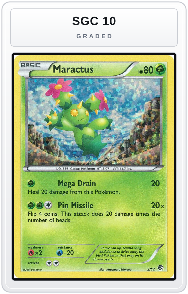 Graded - Maractus - 2/12 — SGC 10 graded overlay