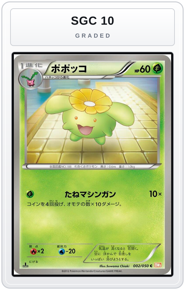 Graded - Skiploom — SGC 10 graded overlay