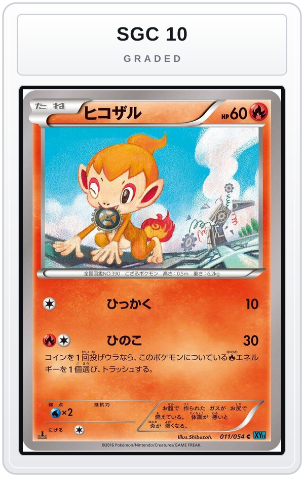 Graded - Chimchar — SGC 10 graded overlay