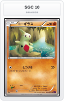 Graded - Larvitar — SGC 10 graded overlay