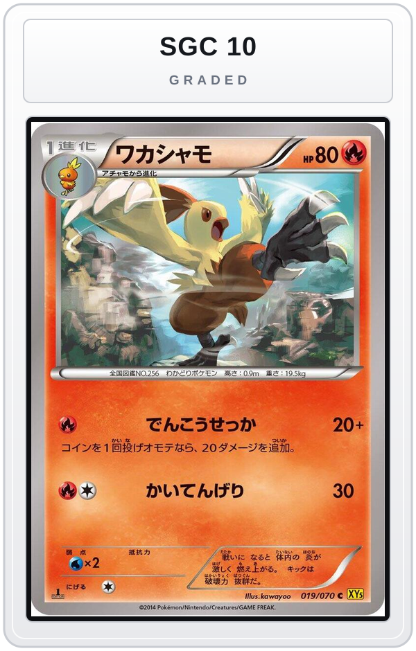 Graded - Combusken — SGC 10 graded overlay