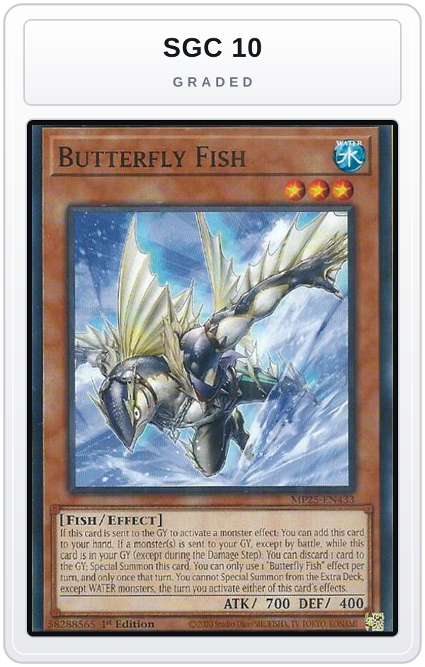 Graded - Butterfly Fish — SGC 10 graded overlay