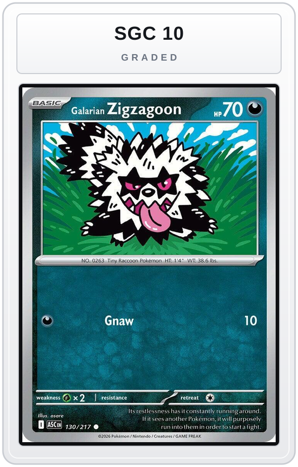 Graded - Galarian Zigzagoon — SGC 10 graded overlay