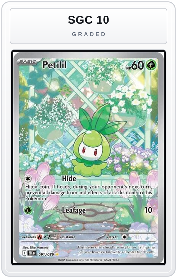 Graded - Petilil - 091/086 — SGC 10 graded overlay