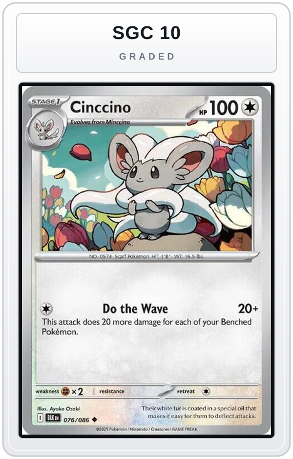 Graded - Cinccino — SGC 10 graded overlay