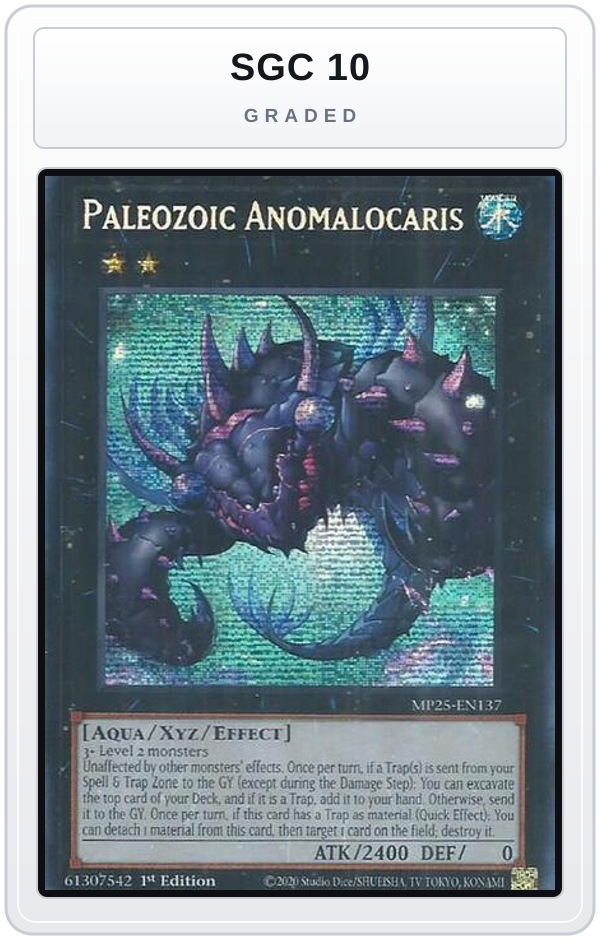 Graded - Paleozoic Anomalocaris — SGC 10 graded overlay