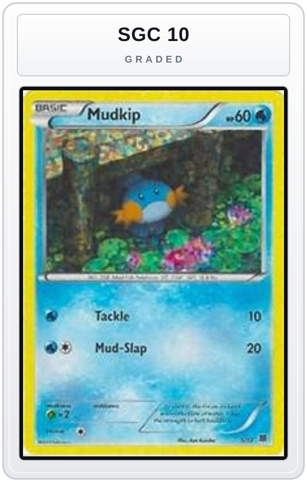 Graded - Mudkip - 5/12 — SGC 10 graded overlay